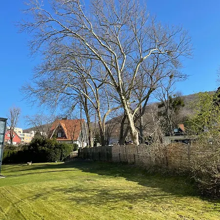 Finkennest * バート・ハルツブルク